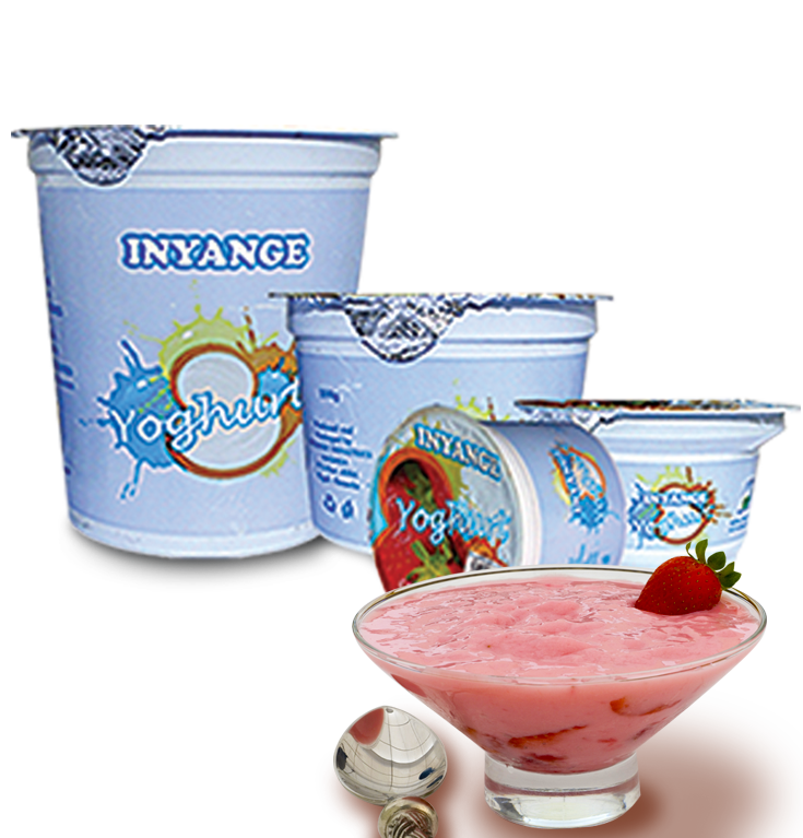 yoghurt-copy