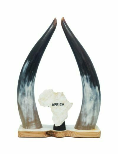 Cow Horn Africa Decor