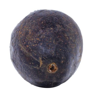 AVOCADO PC FF003 - Image 3