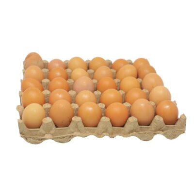 WHITE YORK/PONDEZI EGGS PER PC FF095 - Image 3
