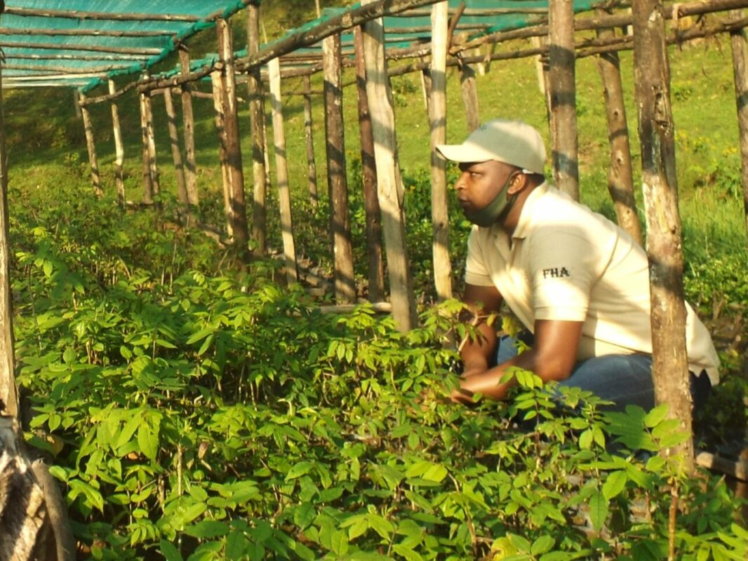 Plant a Tree in Gishwati Forest - Image 5