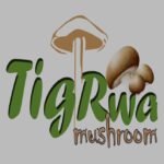 TigRwa Mushroom