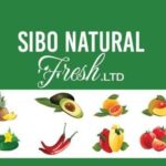 Sibo Natural Fresh