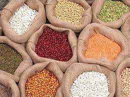 AGRICULTURE