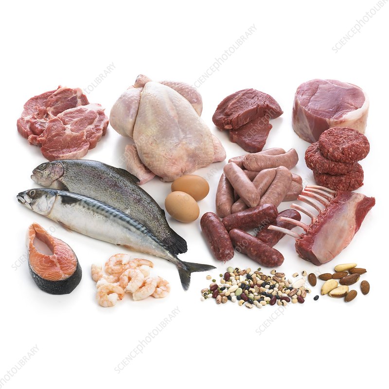 MEAT & SEAFOOD
