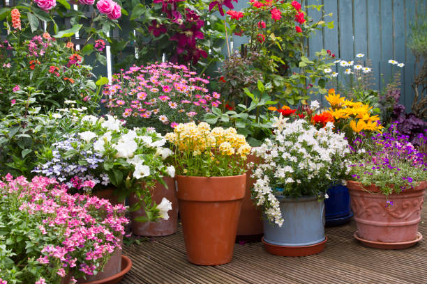 FLOWER & FLOWERPOT